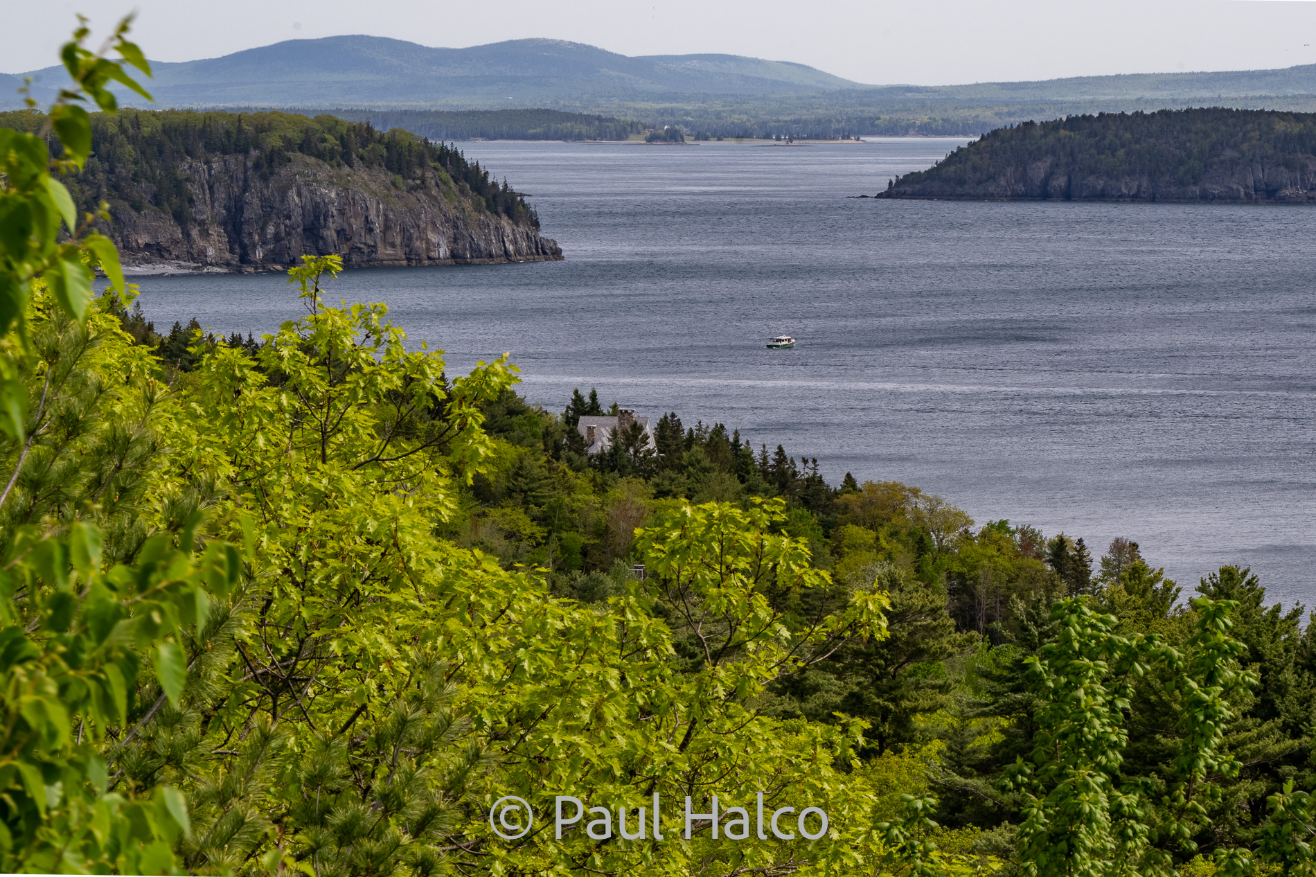 Paul Halco-Acadia NP-3